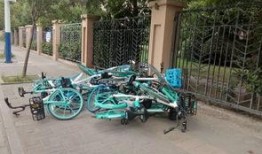 小区自行车爆料案例最新,智慧监控助力破案