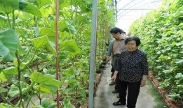 蚌埠吃瓜最新事件爆料是真的吗,真相揭秘还是网络谣言？