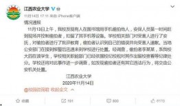 江西农业大学爆料事件最新,真相与反思并行