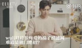 男星最新爆料视频,最新爆料视频背后的惊人真相