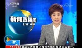 赵先生最新爆料新闻报道,最新新闻报道揭秘内幕