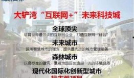 最新爆料强盛集团,揭秘企业背后的惊人真相