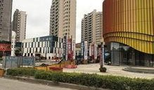 张晔子最新动态爆料,精彩瞬间与幕后故事大公开