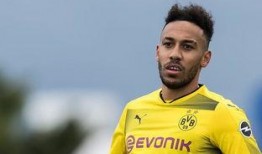 马济奥最新爆料消息新闻,最新热点事件内幕大揭秘